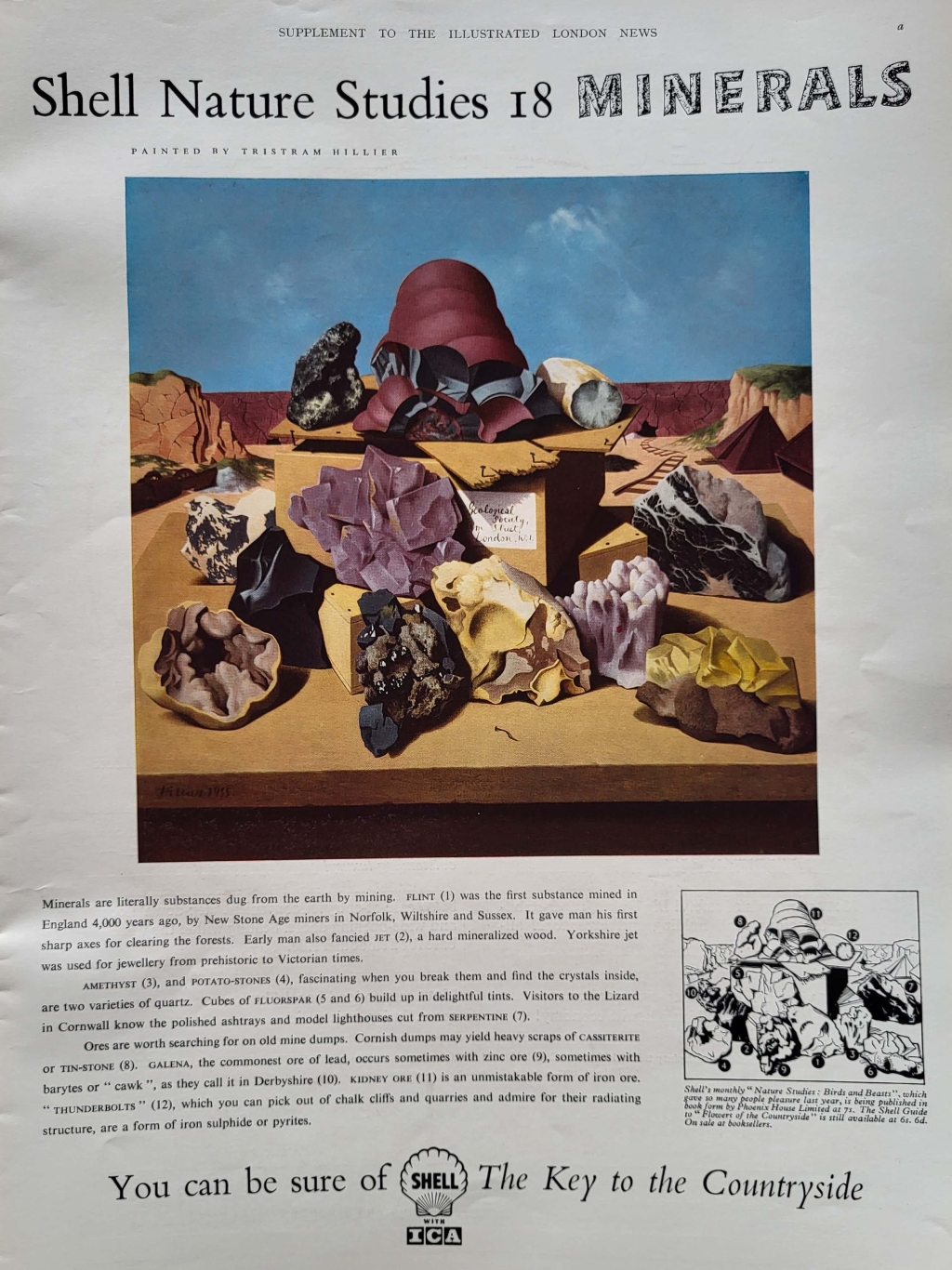 shell advert minerals